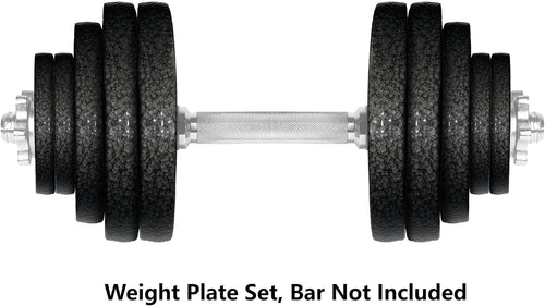 1" Standard Dumbbells Weight Plate Set for 1-Inch Dumbells Bar